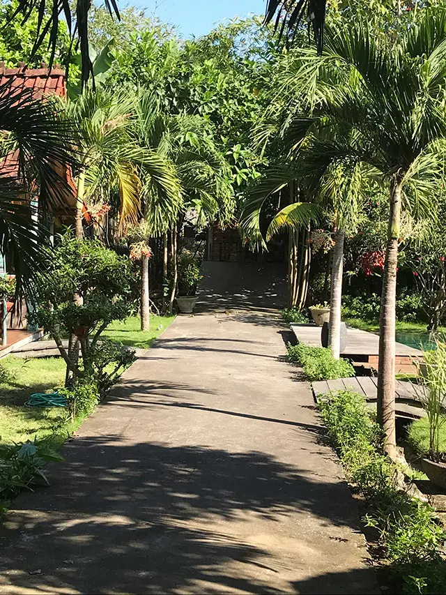 skate path to bungalow room through the garden